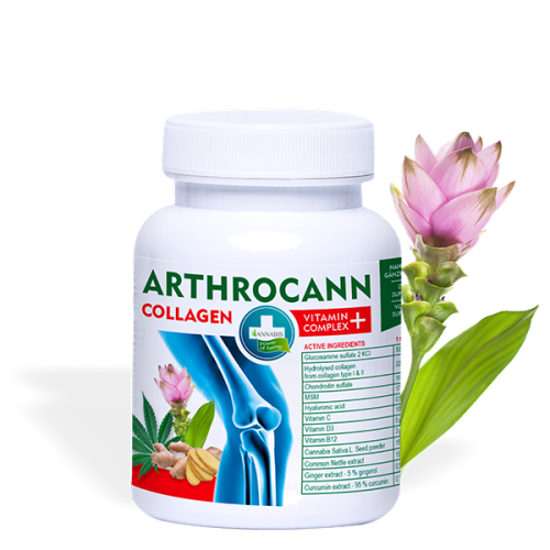 Annabis_Arthrocann_Collagen_EXP_EN_02.png