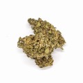 CBD-Kwiaty-Konopi-Green-C Sativa 2.jpg