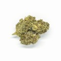 CBD-Kwiaty-Konopi-TANGERINE-DREAM sativa2.jpg