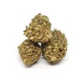 Kwiaty-konopi-CBD-HAWAI-HAZE sativa2.jpg