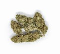 CBD-Kwiaty-Konopi-Kosher-Kush sativa 2.jpg