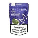 Kwiaty konopi CBD Tropicana 1g z akcyzą