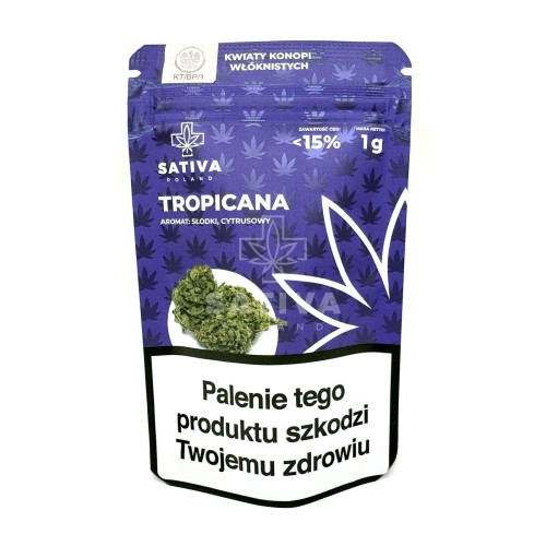 CBD-Kwiaty-Konopi-TROPICANA-sativa.jpg