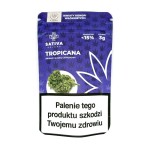 Kwiaty konopi CBD Tropicana 3g z akcyzą